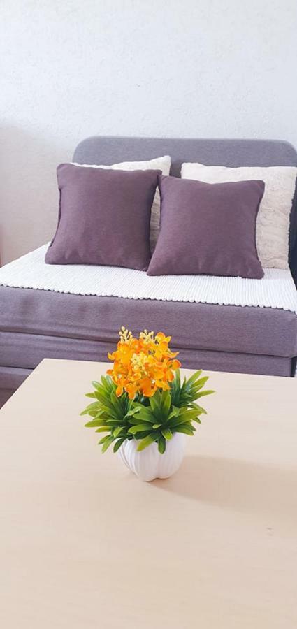 Apartments Four Countesses Virpazar Luaran gambar